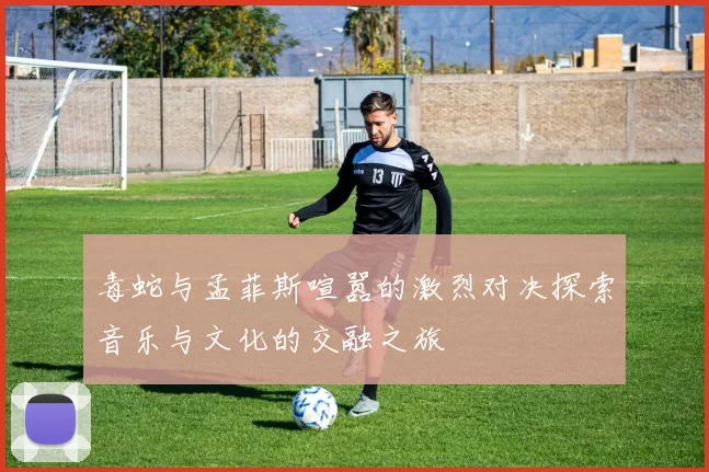 毒蛇与孟菲斯喧嚣的激烈对决探索音乐与文化的交融之旅