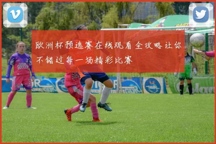 欧洲杯预选赛在线观看全攻略让你不错过每一场精彩比赛